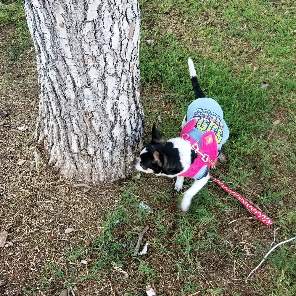 Meet your Posher, Sandra